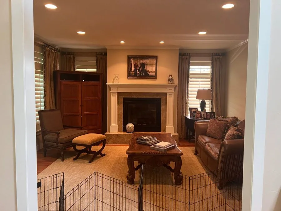 Living Room & Fireplace before